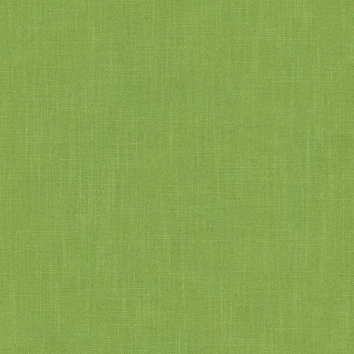 Pluto Fabric - Pear by Pluto Fabric from Linwood Fabrics Pluto collection - green plain woven