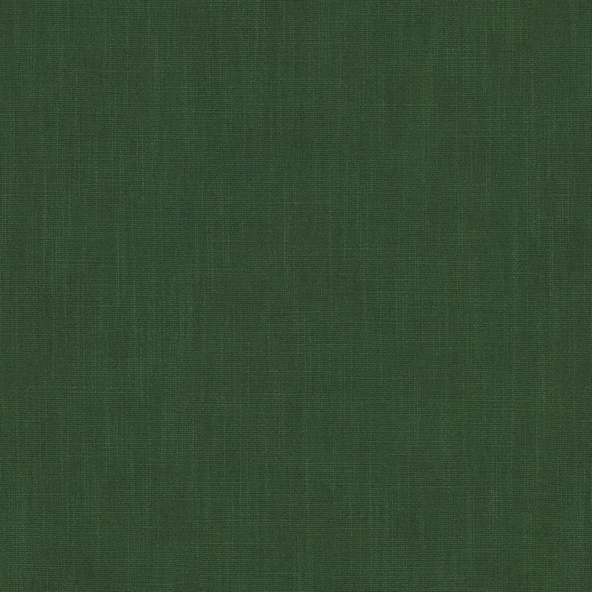 Pluto Fabric - Jungle by Pluto Fabric from Linwood Fabrics Pluto collection - green plain woven