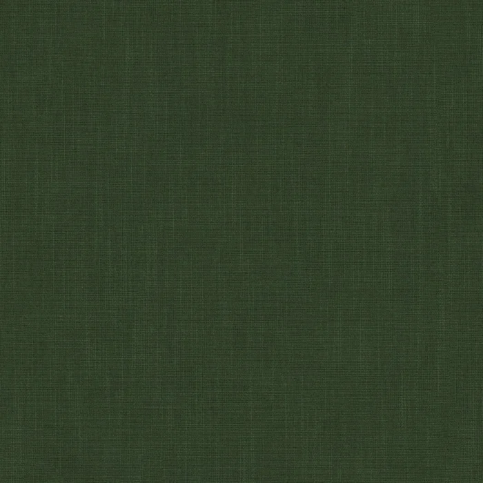 Pluto Fabric - Hunter swatch
