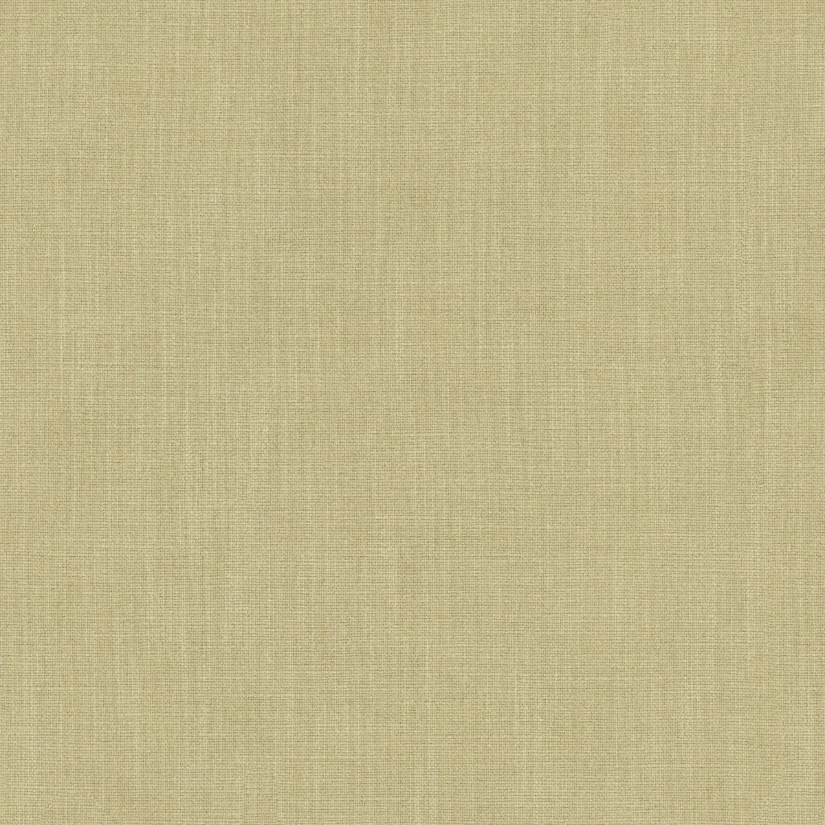 Pluto Fabric - Dune by Pluto Fabric from Linwood Fabrics Pluto collection - yellow plain woven