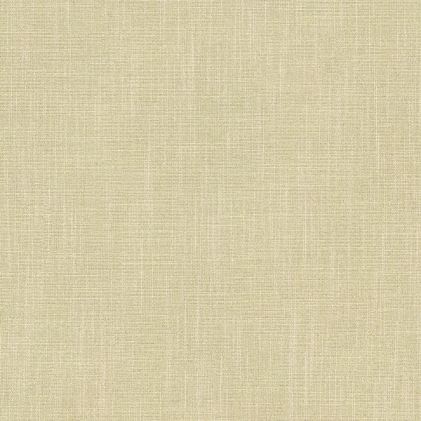 Pluto Fabric - Ecru by Pluto Fabric from Linwood Fabrics Pluto collection - neutral plain woven