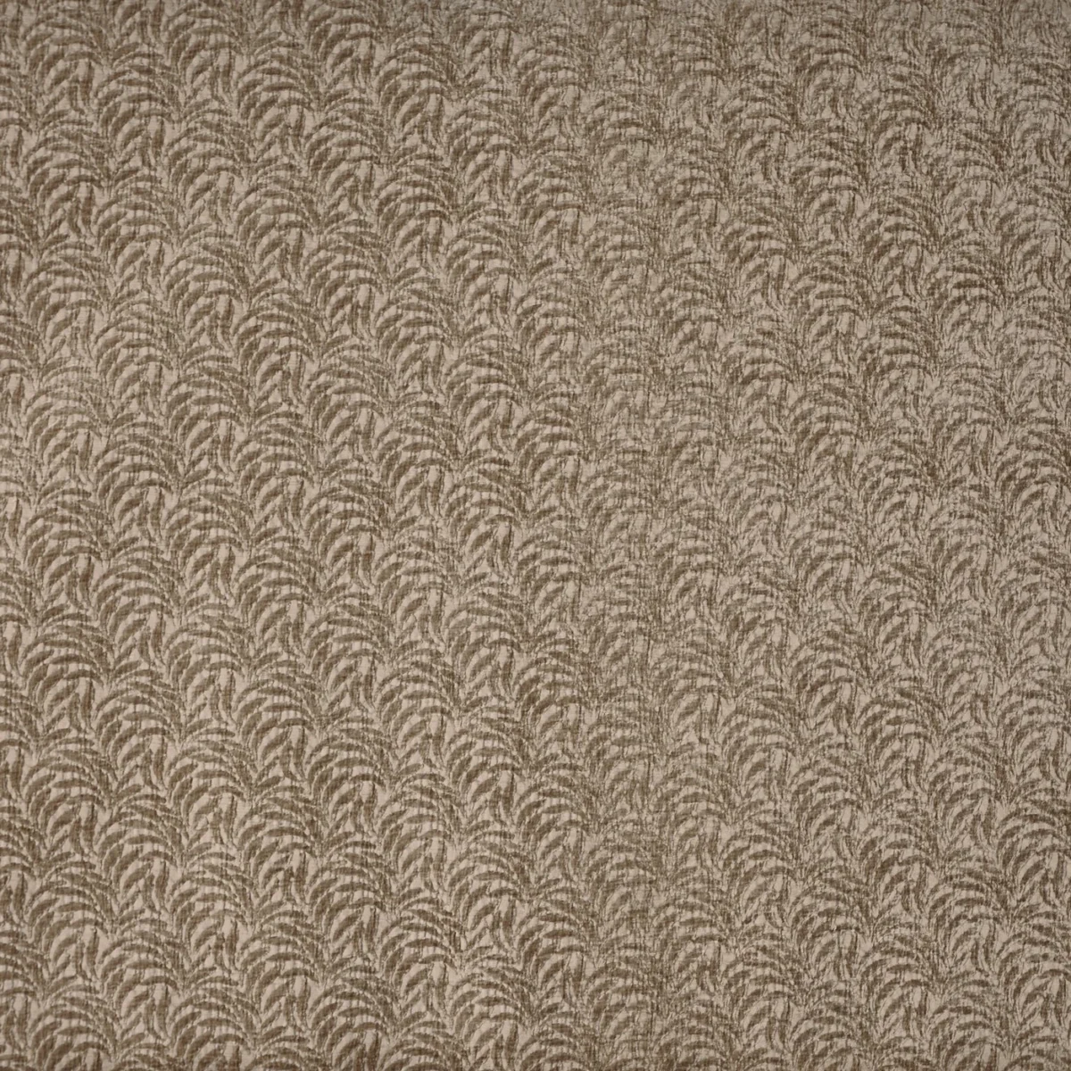 Casini Fabric - Antique by Casini Fabric from Prestigious Textiles Florence collection - brown botanical velvet-chenille