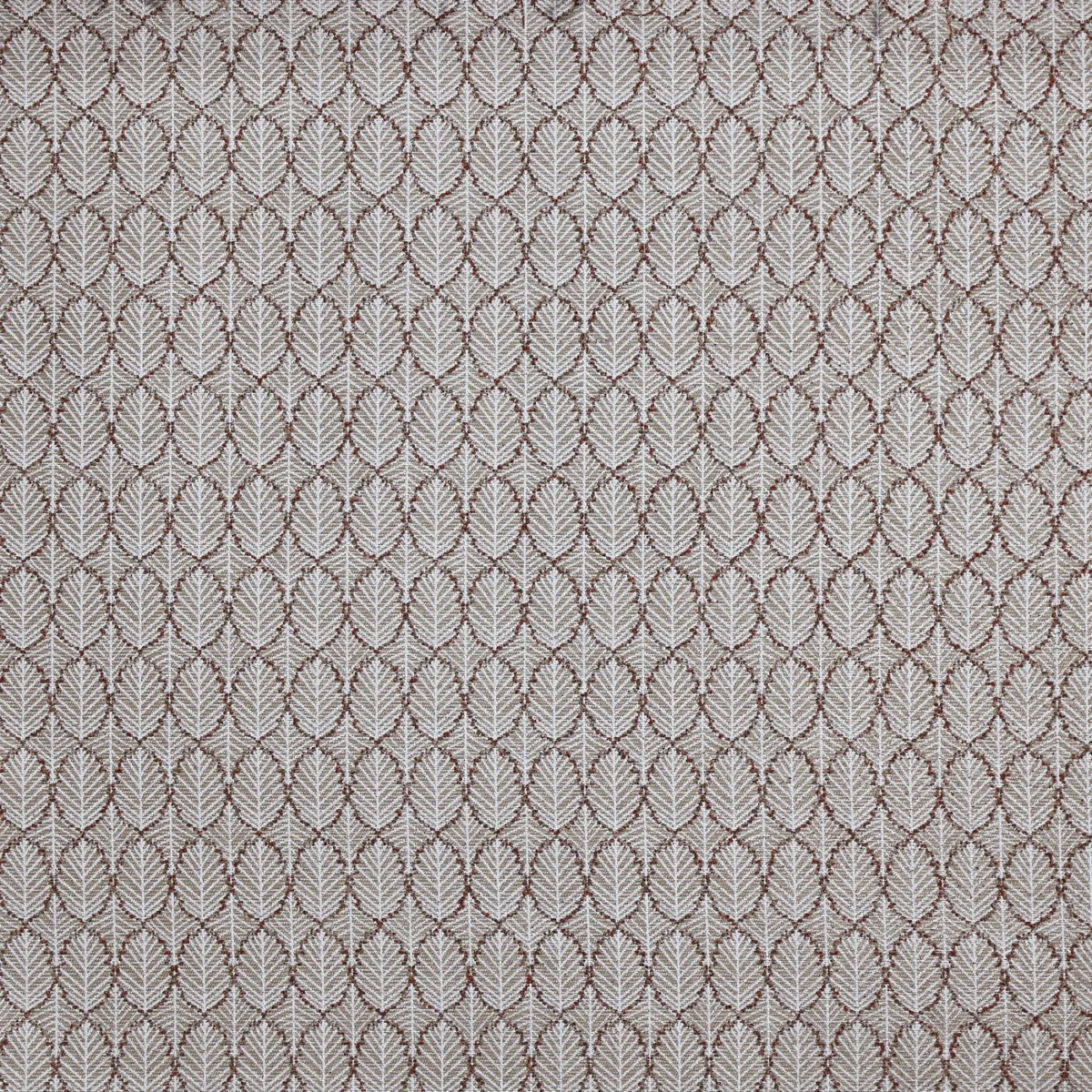 Hickory Fabric - Autumn by Hickory Fabric from Prestigious Textiles Cottage Charm collection - brown spotted woven