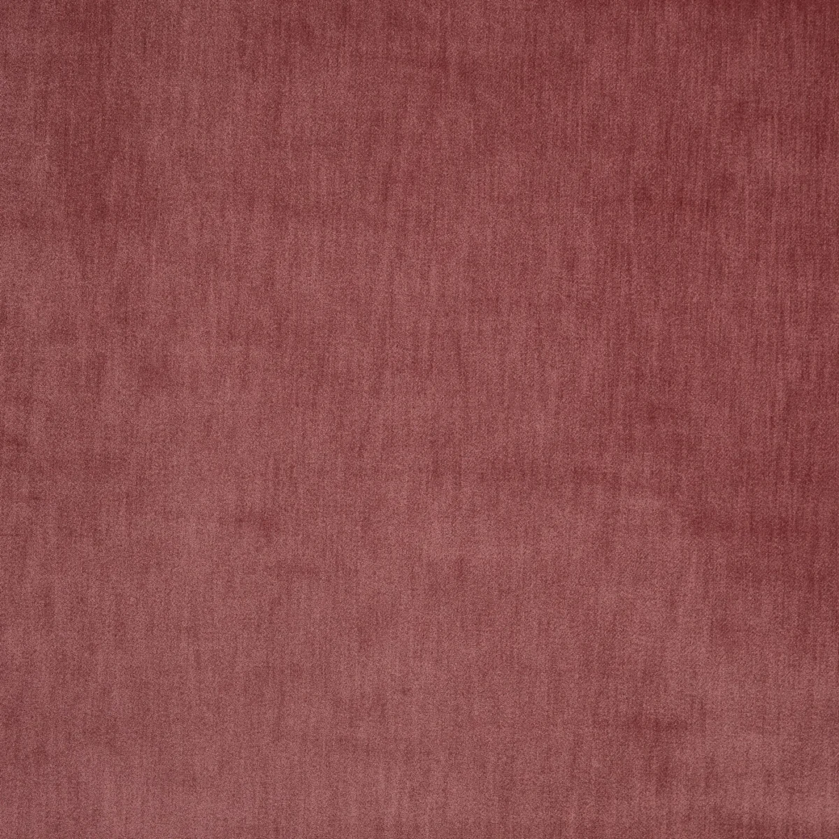 Charlton Fabric - Redwood by Charlton Fabric from Prestigious Textiles Charlton collection - red plain velvet-chenille