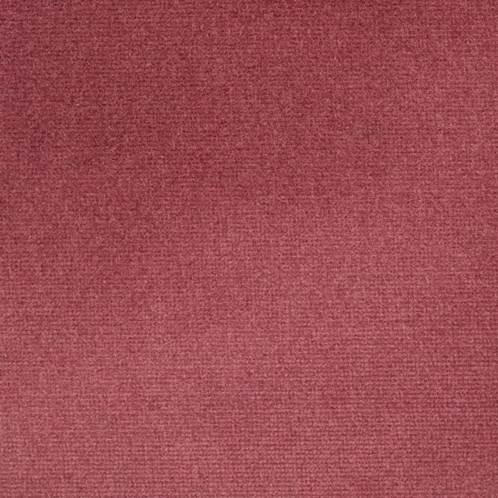 Studio Velvet Fabric - Tulip fabric swatch EAGX/STUDVTUL