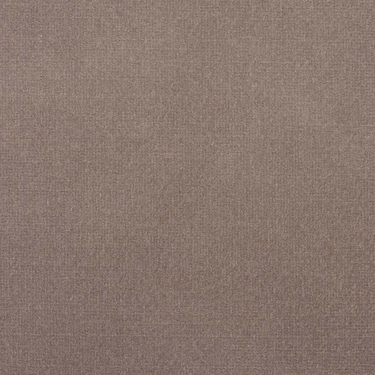 Studio Velvet Fabric - Steel by Studio Velvet Fabric from iLiv Studio Velvet collection - black-grey plain velvet-chenille