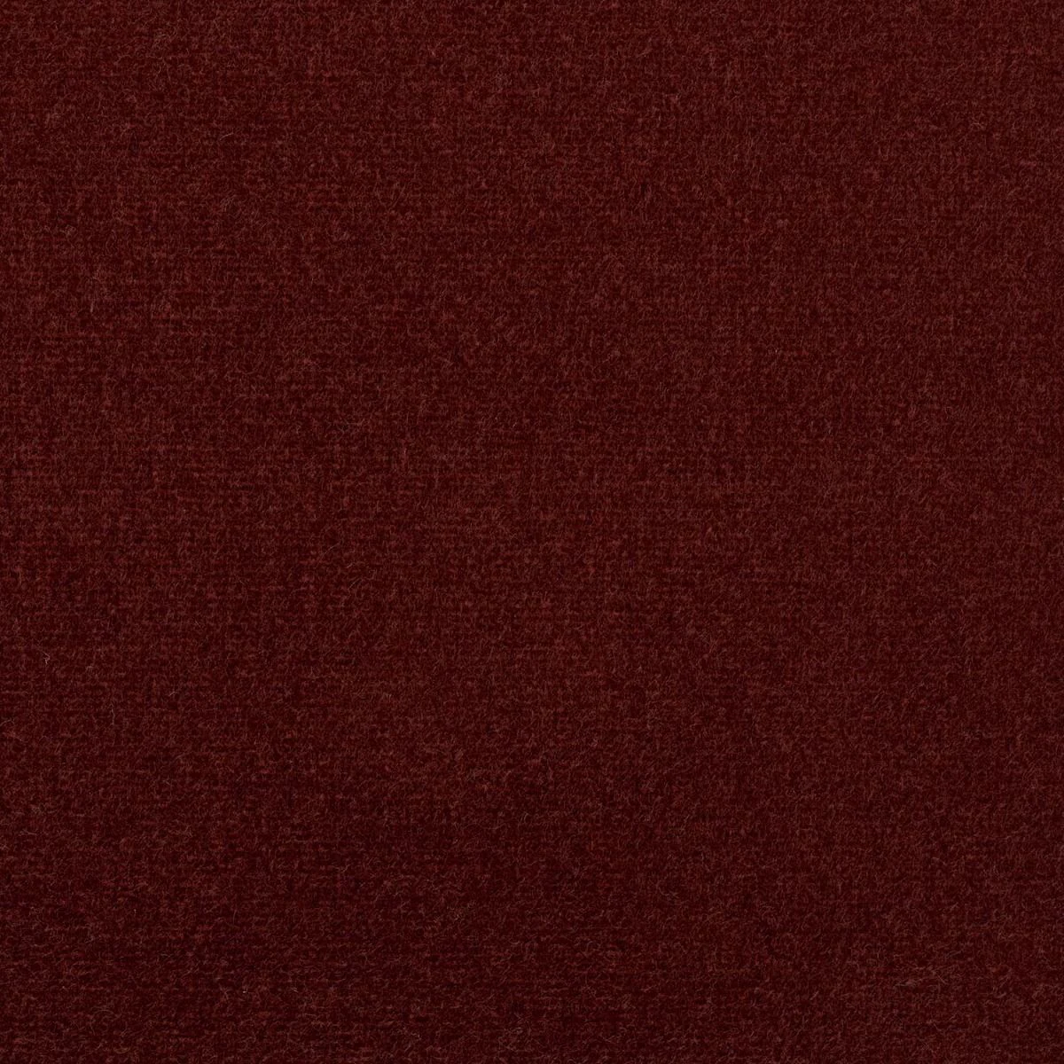 Studio Velvet Fabric - Spice by Studio Velvet Fabric from iLiv Studio Velvet collection - purple plain velvet-chenille