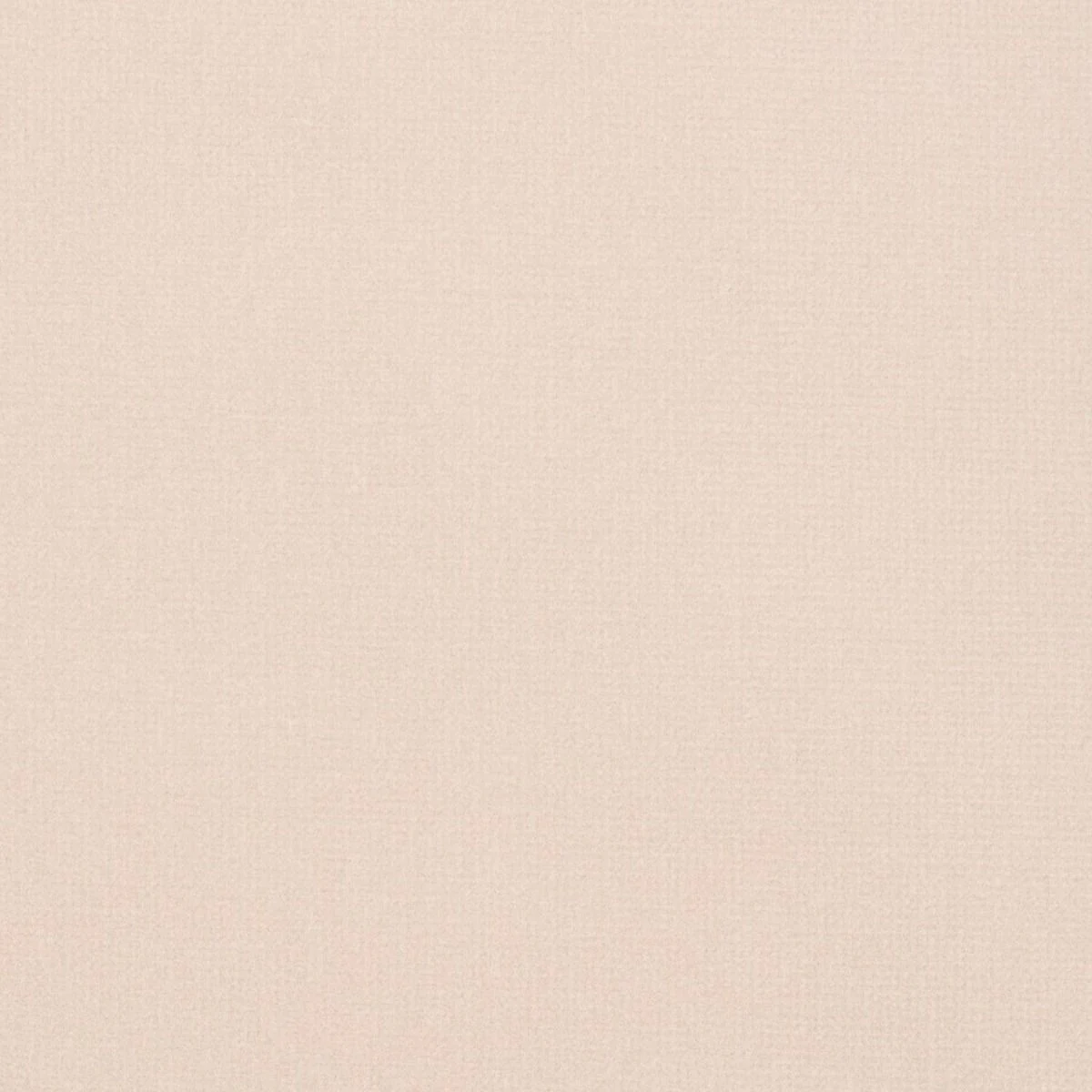 Studio Velvet Fabric - Oyster by Studio Velvet Fabric from iLiv Studio Velvet collection - neutral plain velvet-chenille