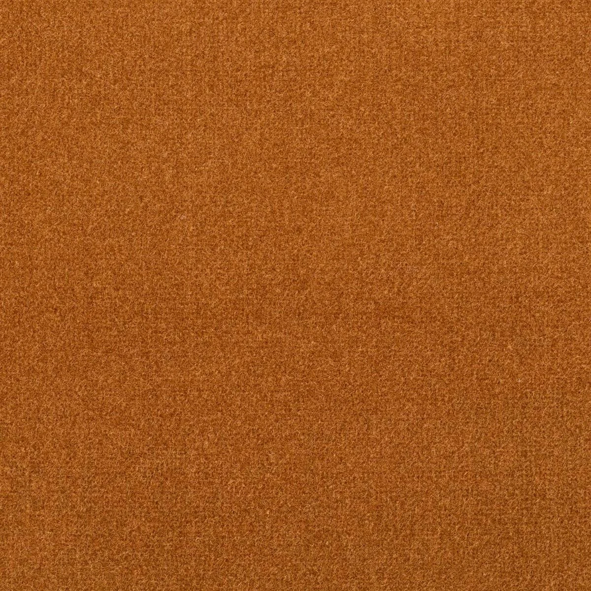 Studio Velvet Fabric - Nutmeg by Studio Velvet Fabric from iLiv Studio Velvet collection - orange plain velvet-chenille