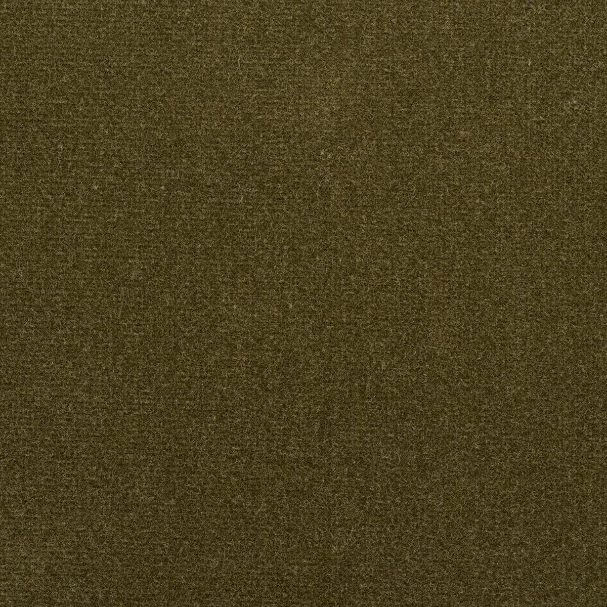 Studio Velvet Fabric - Moss by Studio Velvet Fabric from iLiv Studio Velvet collection - green plain velvet-chenille