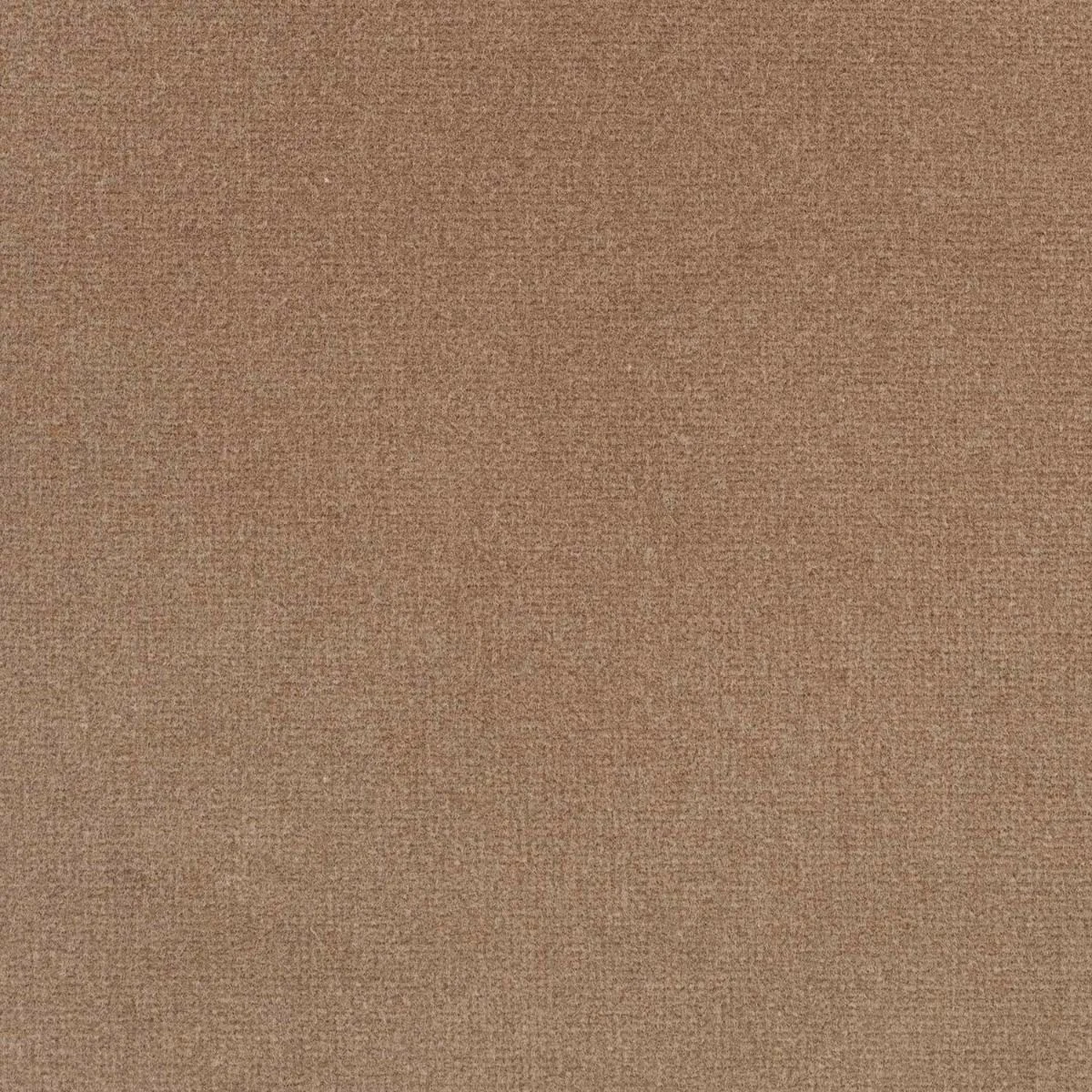 Studio Velvet Fabric - Mink by Studio Velvet Fabric from iLiv Studio Velvet collection - brown plain velvet-chenille