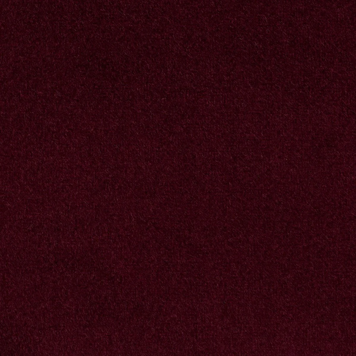 Studio Velvet Fabric - Merlot by Studio Velvet Fabric from iLiv Studio Velvet collection - purple plain velvet-chenille