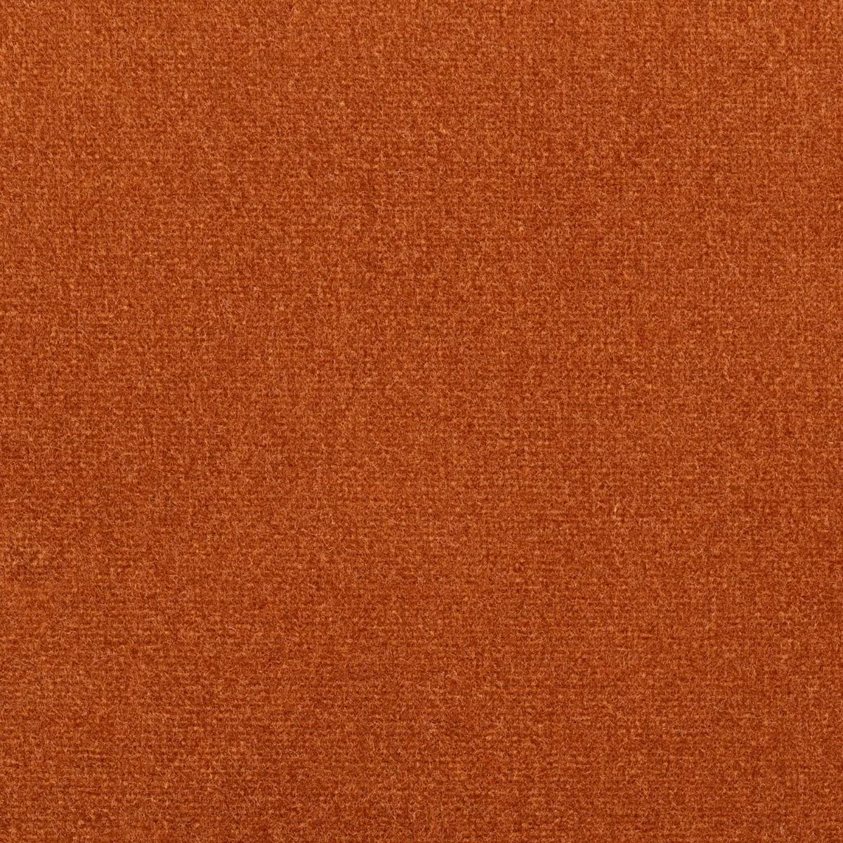 Studio Velvet Fabric - Copper by Studio Velvet Fabric from iLiv Studio Velvet collection - orange plain velvet-chenille