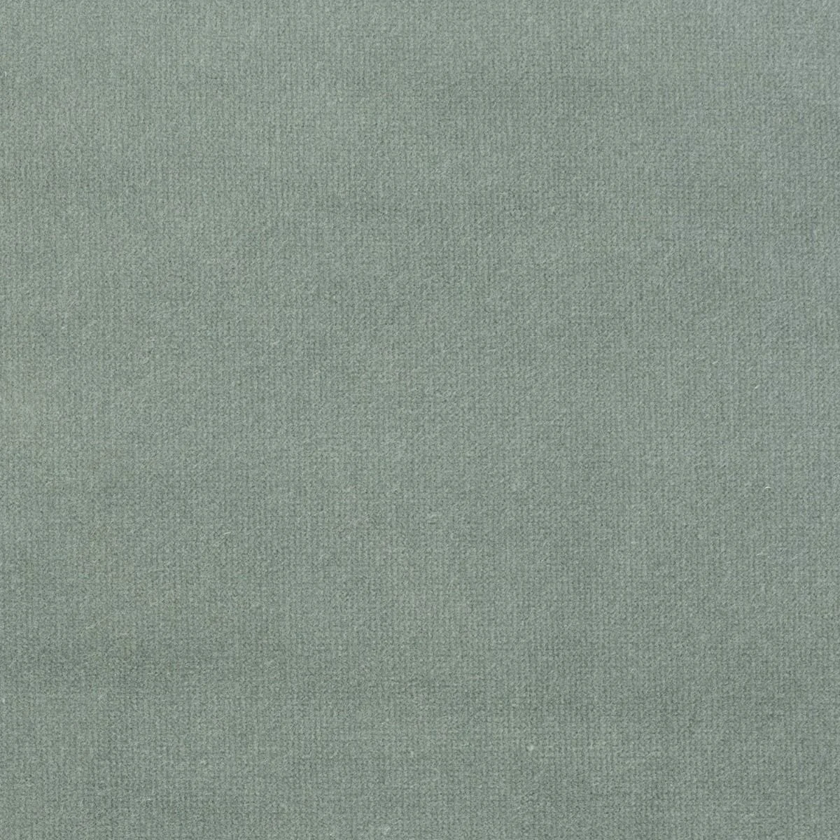 Studio Velvet Fabric - Chalk Blue by Studio Velvet Fabric from iLiv Studio Velvet collection - black-grey plain velvet-chenille