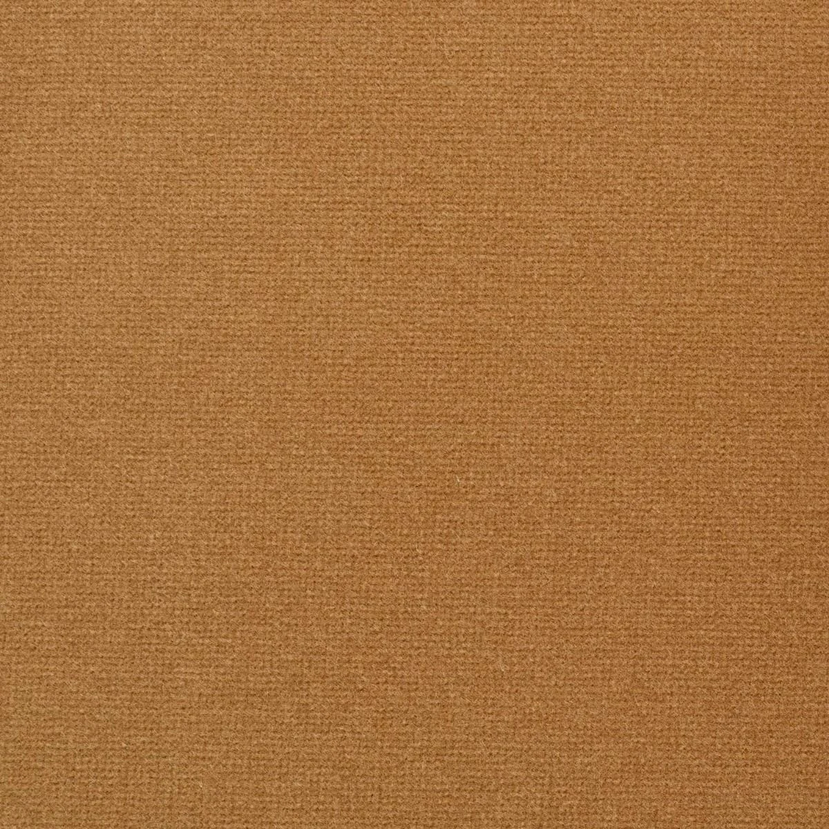 Studio Velvet Fabric - Camel by Studio Velvet Fabric from iLiv Studio Velvet collection - orange plain velvet-chenille
