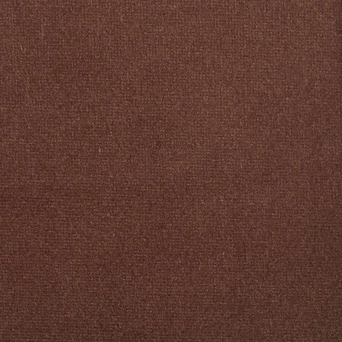 Studio Velvet Fabric - Bark by Studio Velvet Fabric from iLiv Studio Velvet collection - brown plain velvet-chenille
