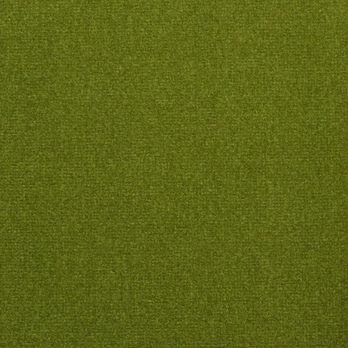 Studio Velvet Fabric - Apple fabric swatch EAGX/STUDVAPP